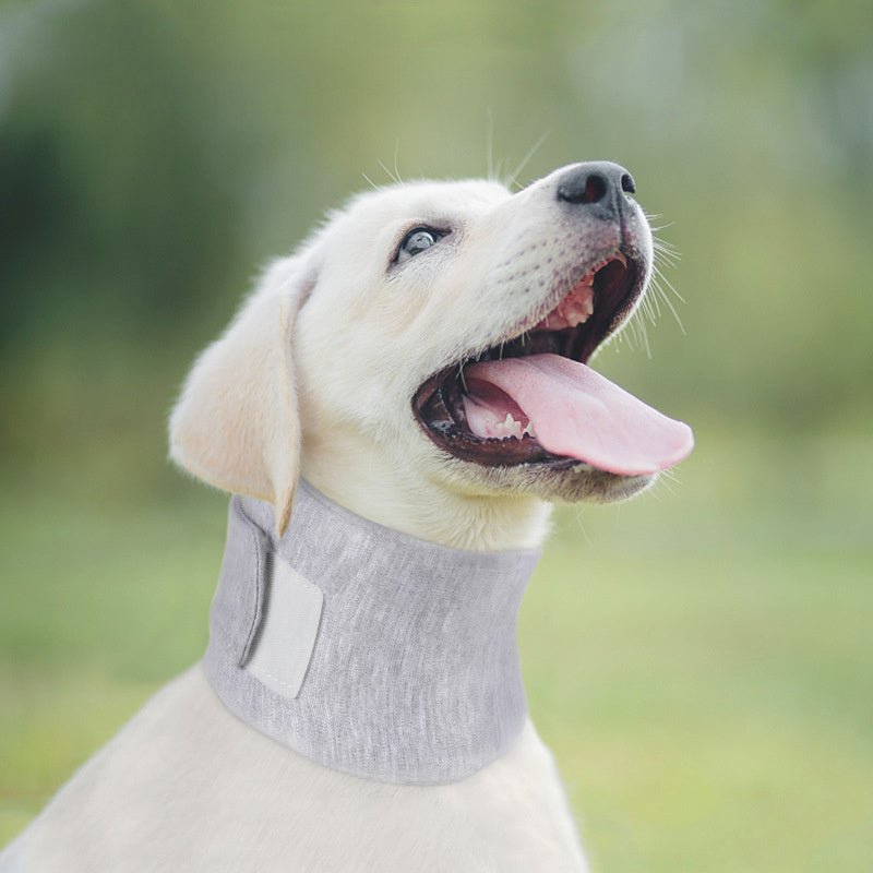 Cat Cone Collar Neck Brace