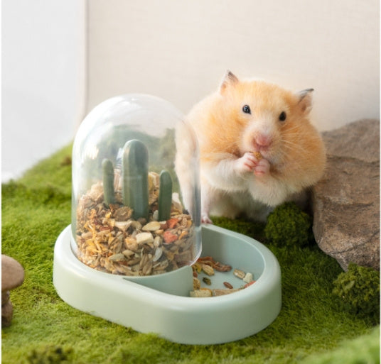 Home Hamster Creative Cactus