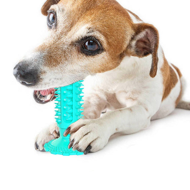 Teeth Cleaning Dog Toothbrush Sucker