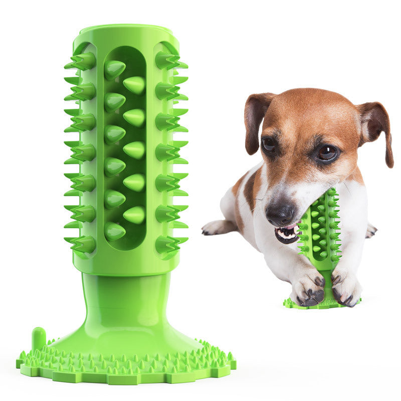 Teeth Cleaning Dog Toothbrush Sucker
