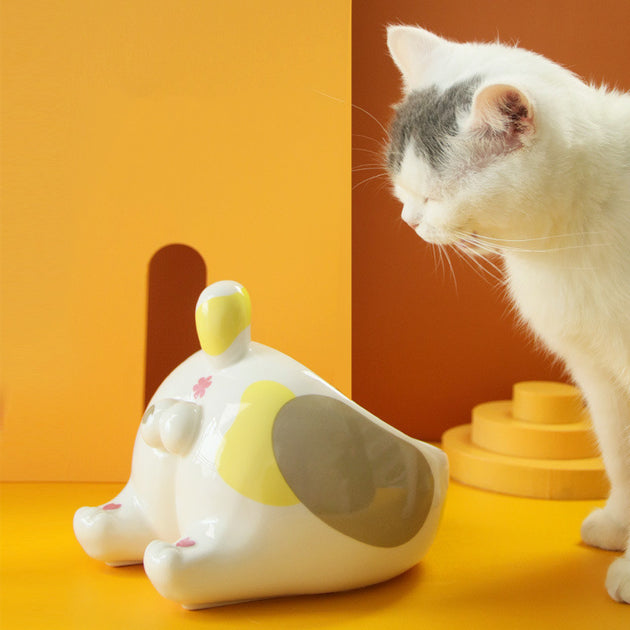 Pet Bowl Cat Bowls Dog Feeding
