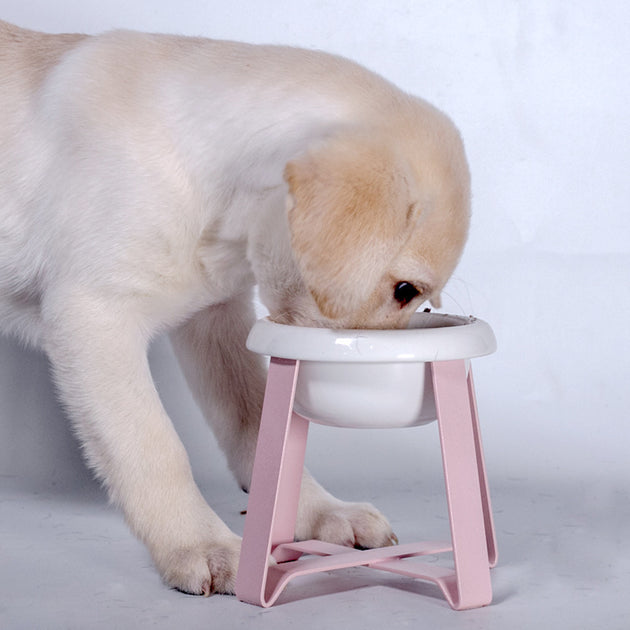 Pet Bowls Creative Antislip Cat Feeding