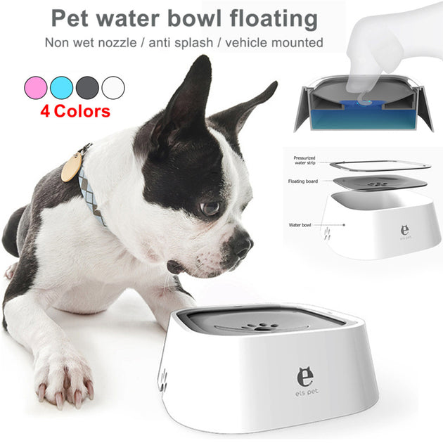 Pet Feeding Bowls Not Wetting Mouth