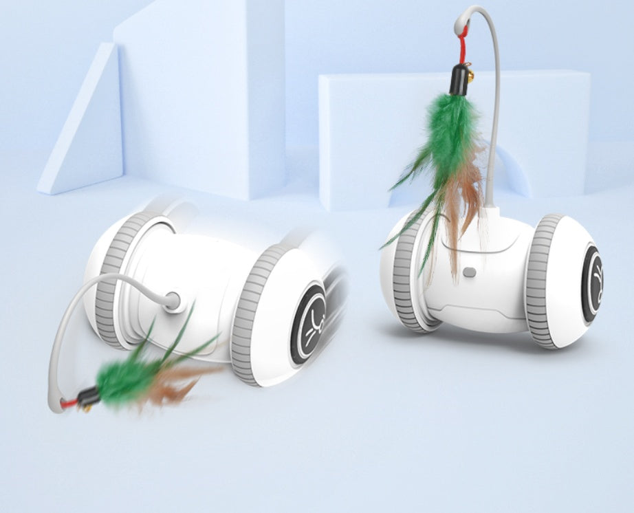 Cat Toy With Interchangeable