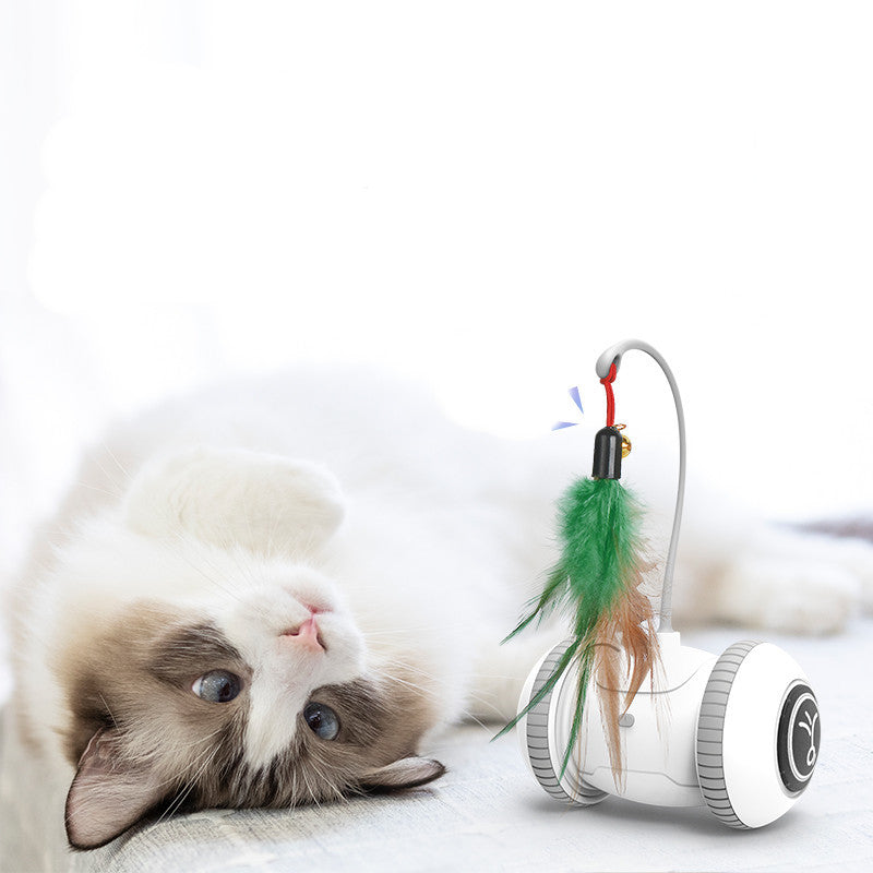 Cat Toy With Interchangeable