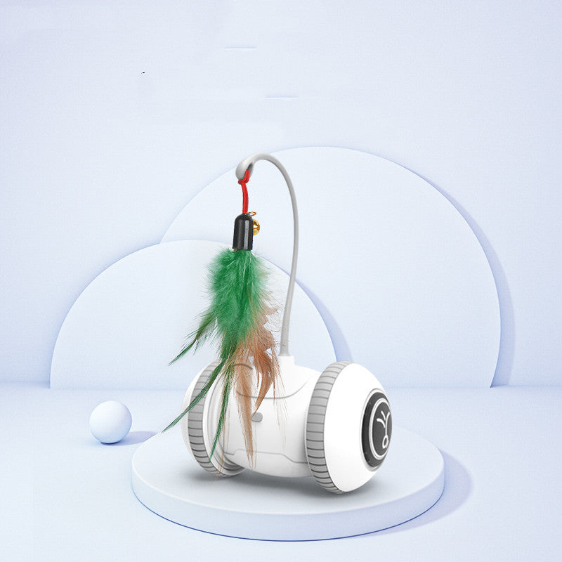 Cat Toy With Interchangeable