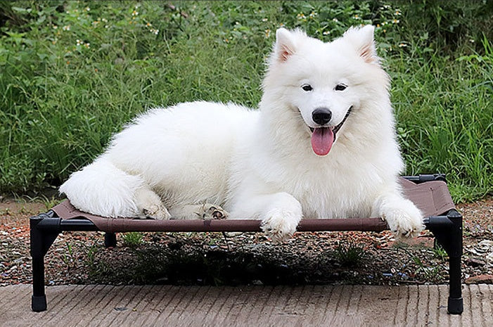 Pet bed dog moisture-proof removable