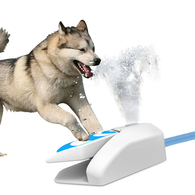Stepping Type Automatic Water Feeder