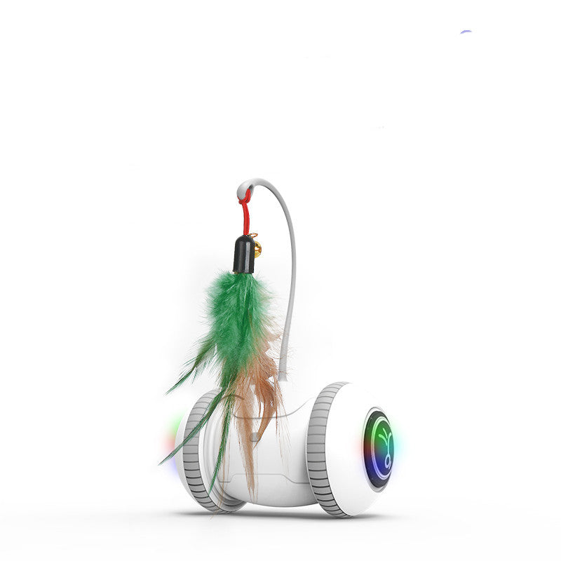 Cat Toy With Interchangeable
