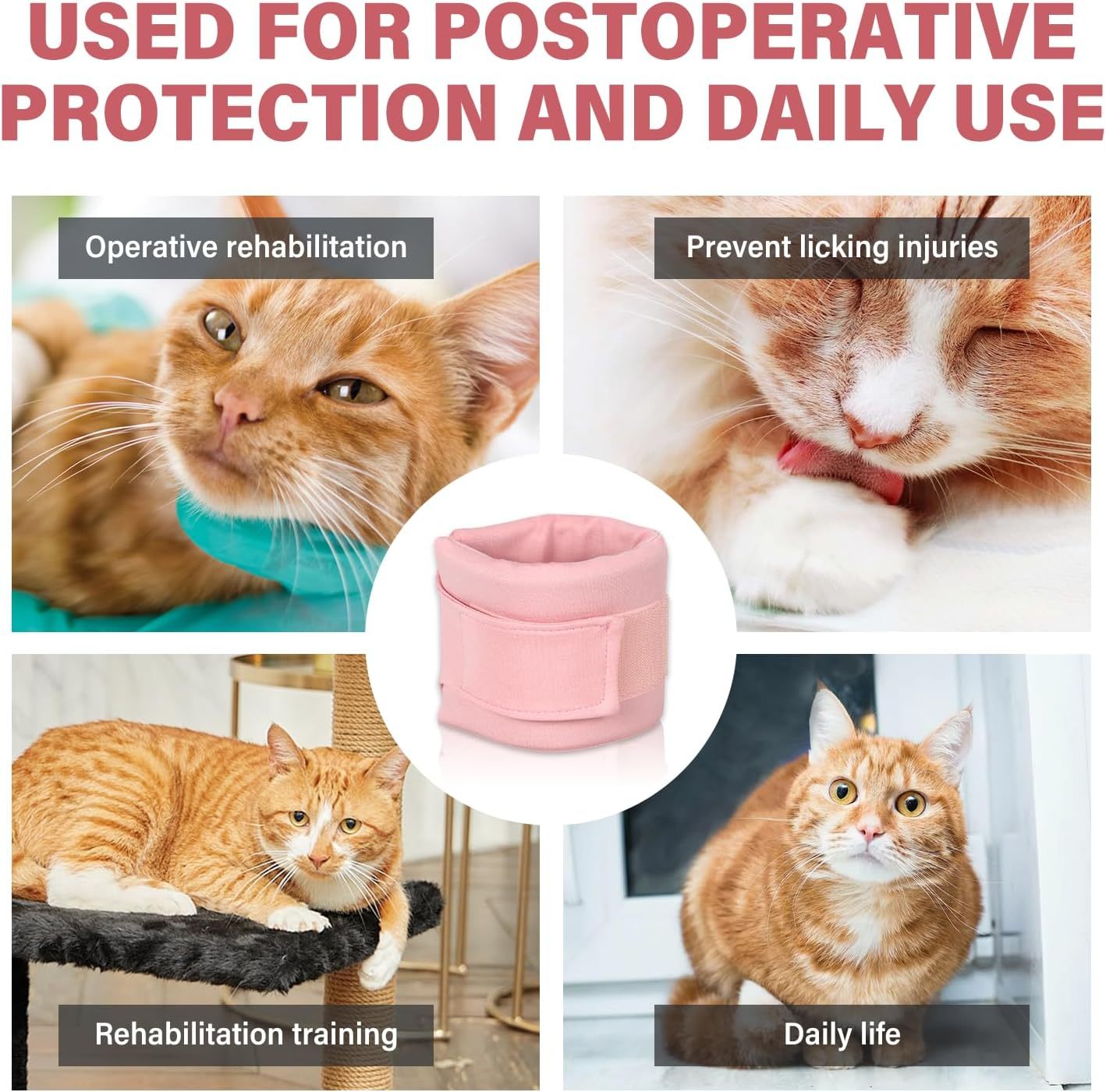 Cat Cone Collar Neck Brace