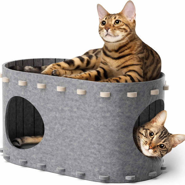 Cat House For Indoor Cave