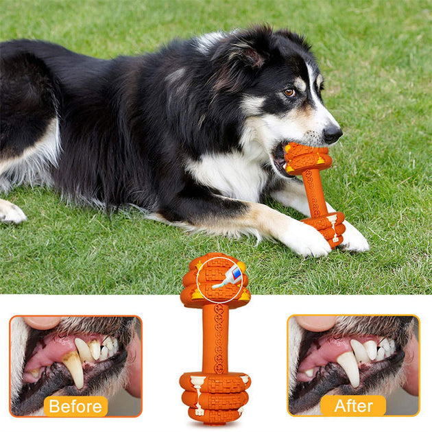 Durable Dog Chew Toys For Aggressive