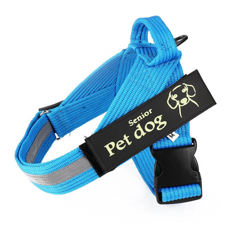 Dog Walking Chain Leash Medium And Large