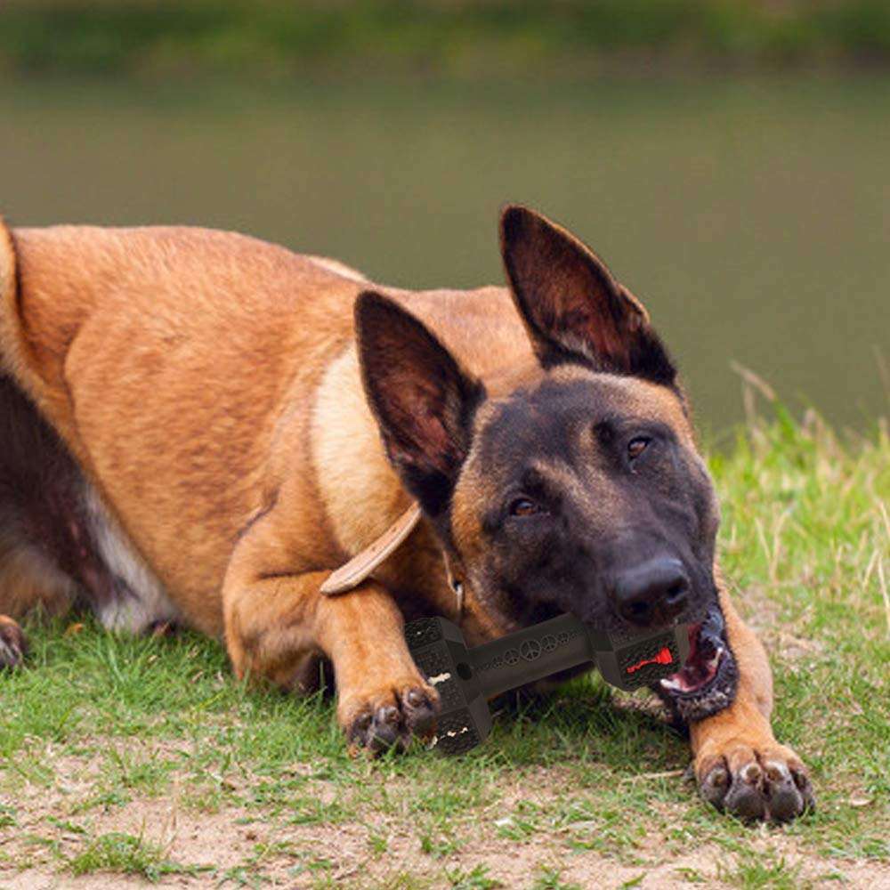 Durable Dog Chew Toys For Aggressive