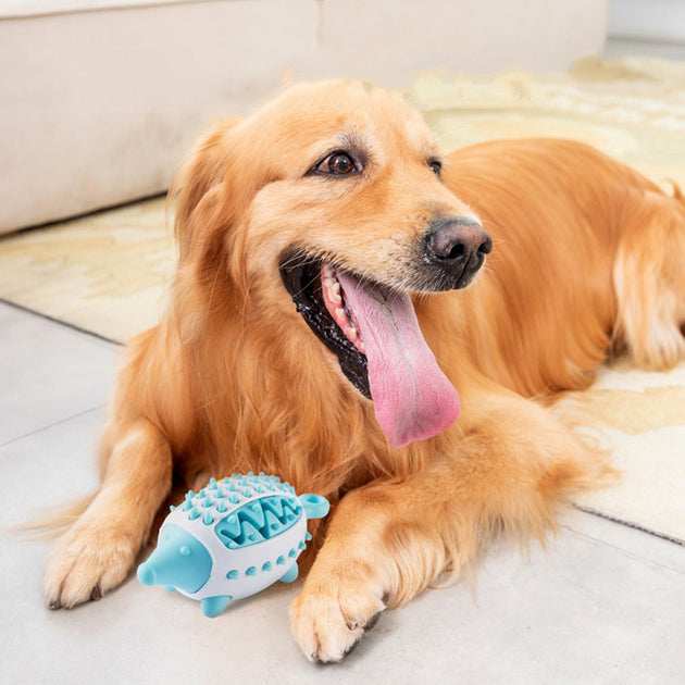 Pet Funnel Ball Dog Toys