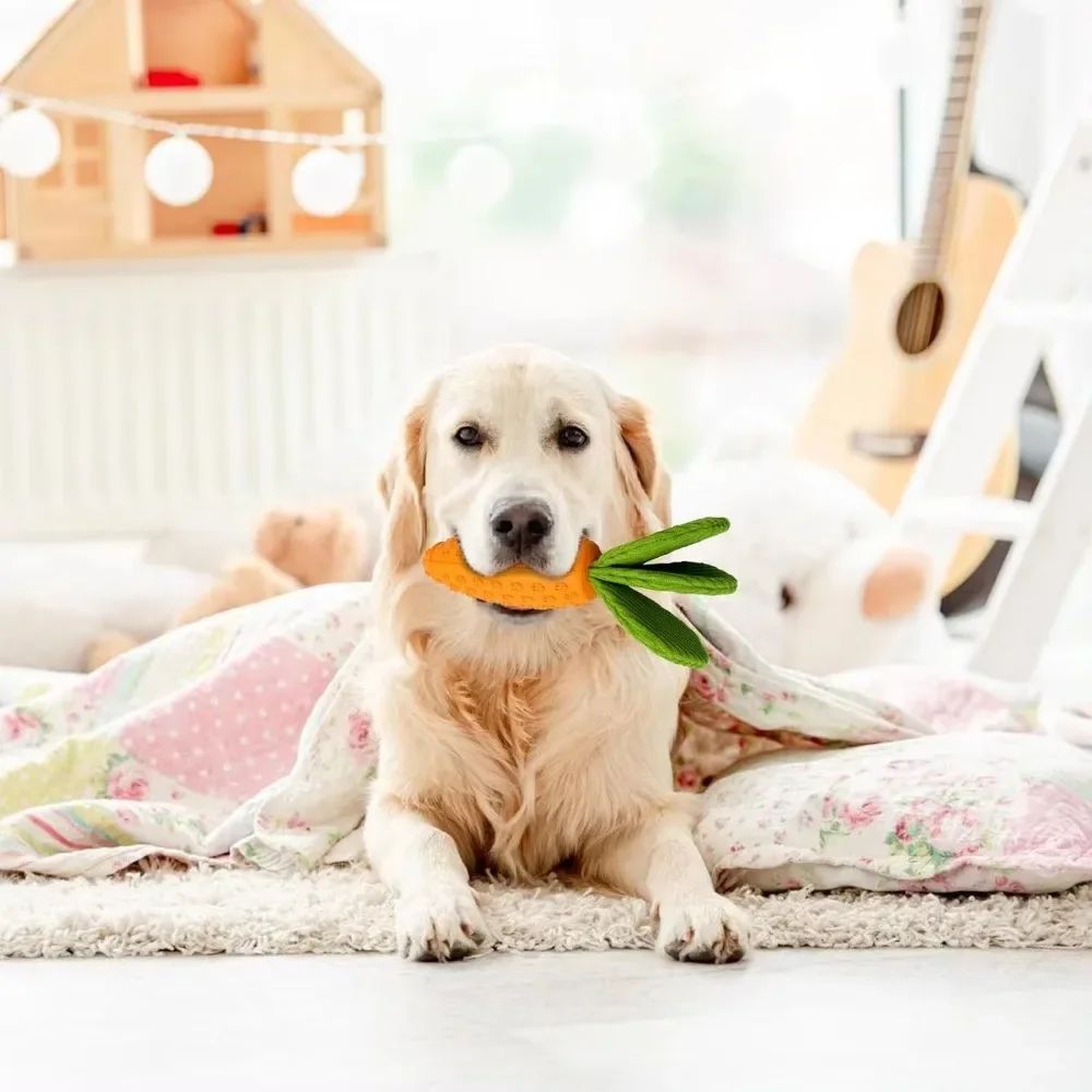 Carrot Dog Chew Toys Durable Rubber