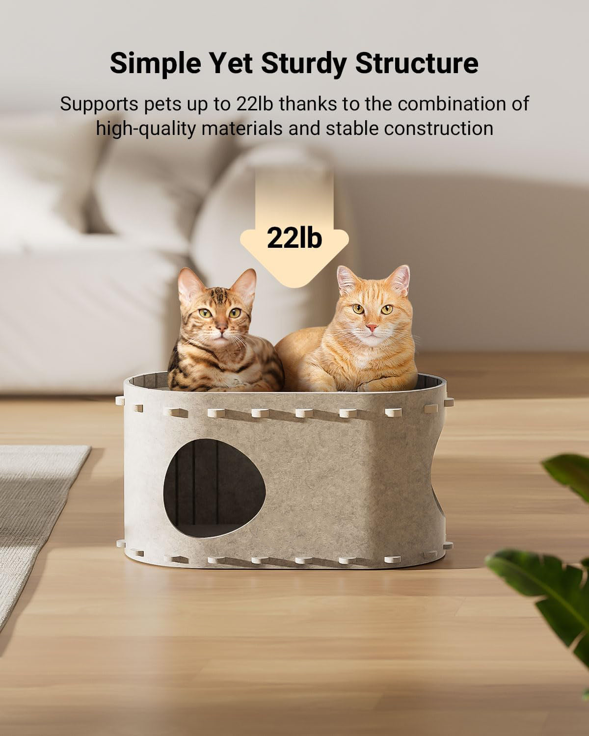 Cat House For Indoor Cave