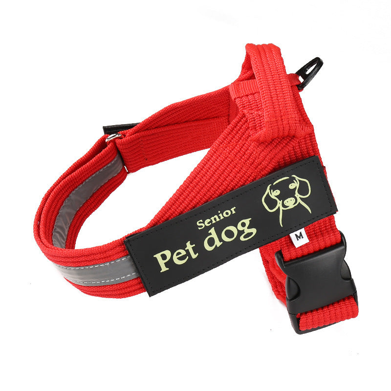 Dog Walking Chain Leash Medium And Large