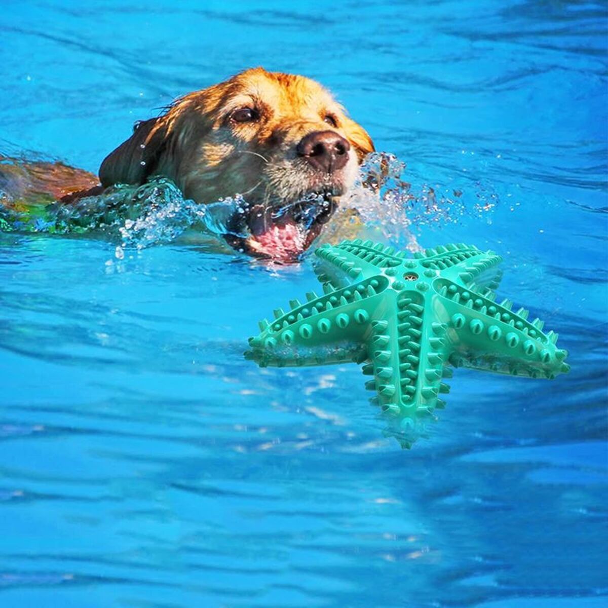 Dog Toys For Large Dogs Tooth