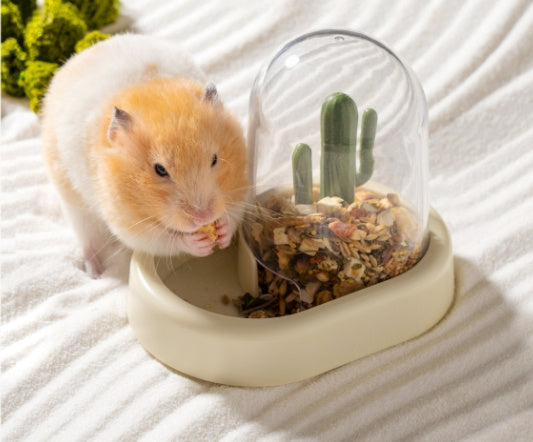 Home Hamster Creative Cactus