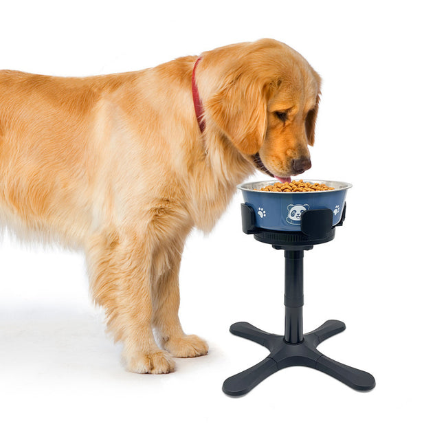 Pet Dog Bowl Bracket Lifting