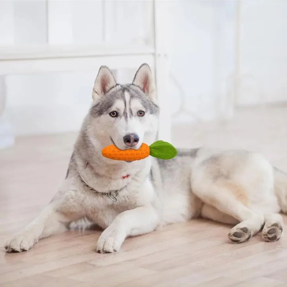 Carrot Dog Chew Toys Durable Rubber