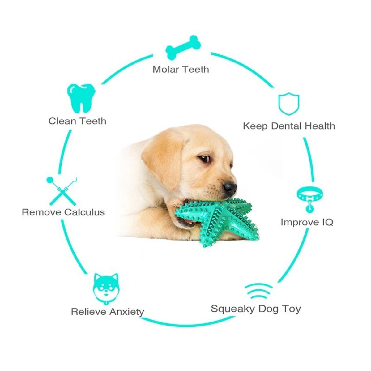 Dog Toys For Large Dogs Tooth
