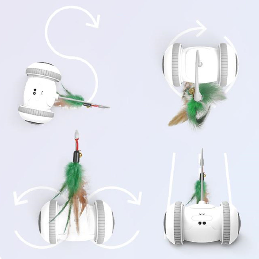 Cat Toy With Interchangeable