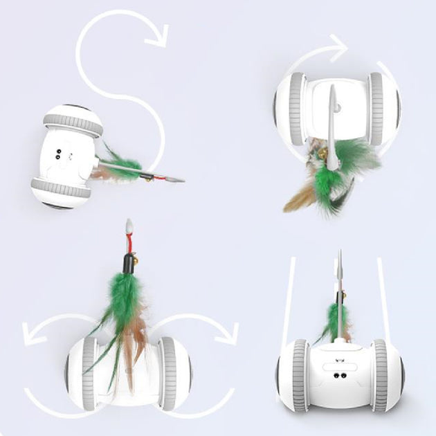 Cat Toy With Interchangeable