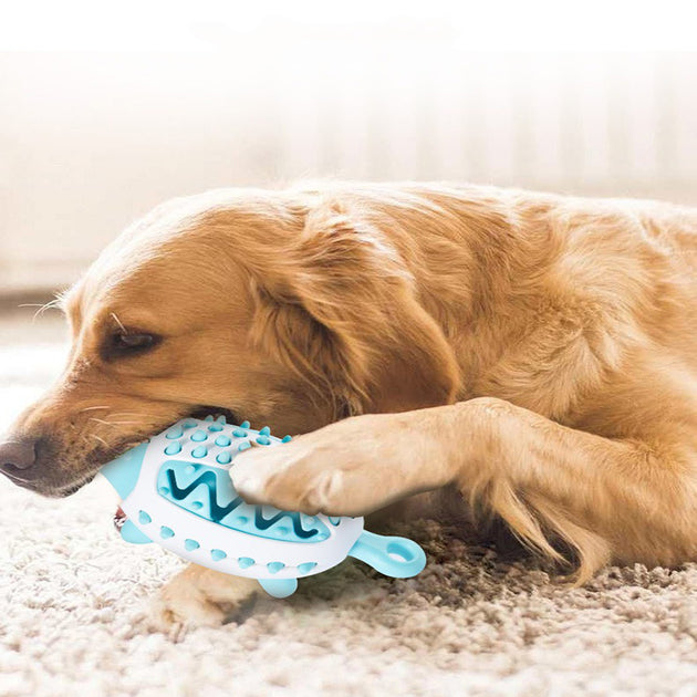 Pet Funnel Ball Dog Toys