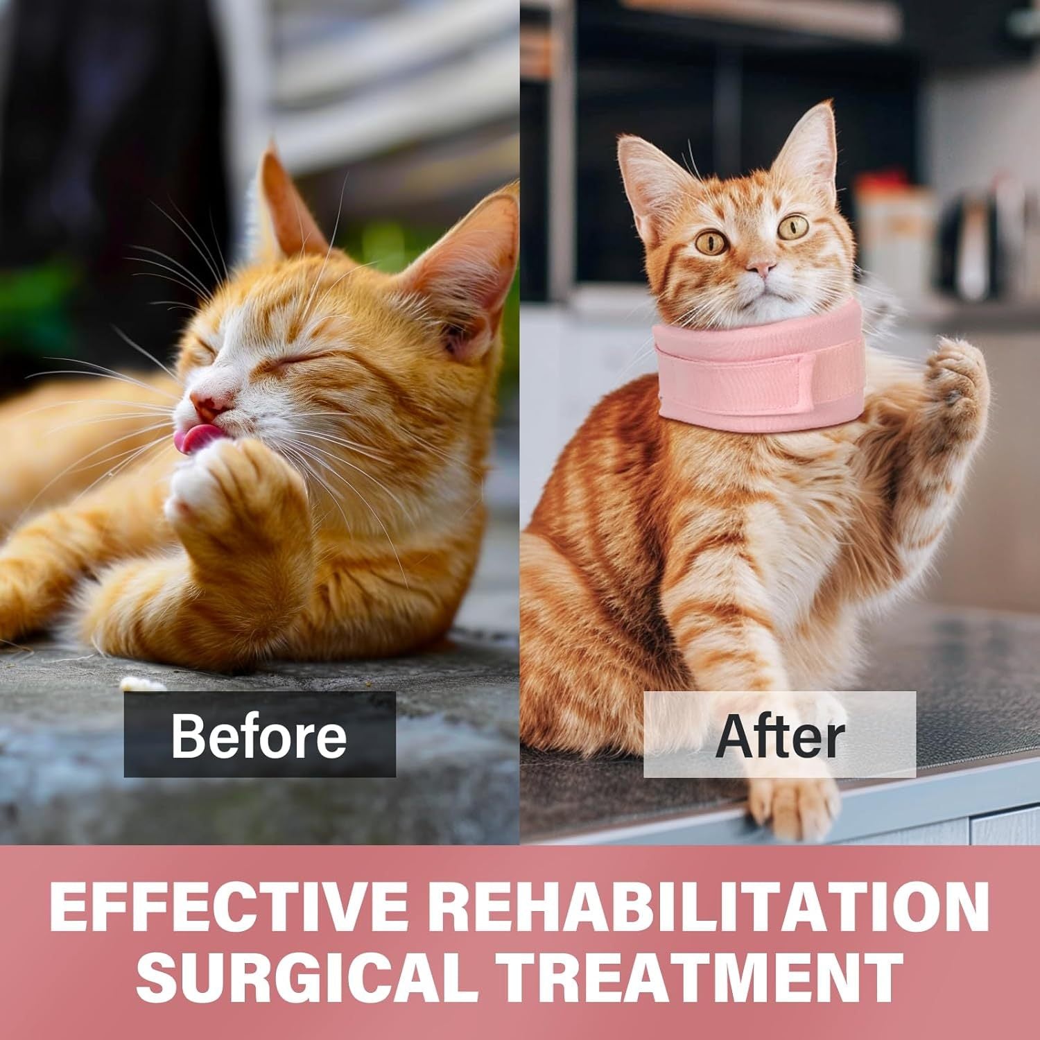 Cat Cone Collar Neck Brace