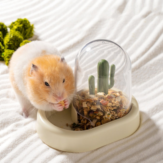 Home Hamster Creative Cactus
