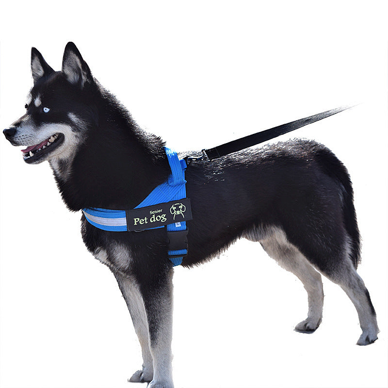 Dog Walking Chain Leash Medium And Large