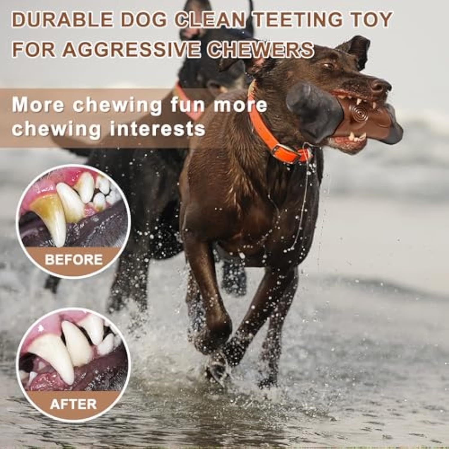 Tough Dog Toys For Aggressive Chewers
