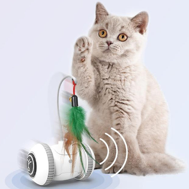 Cat Toy With Interchangeable