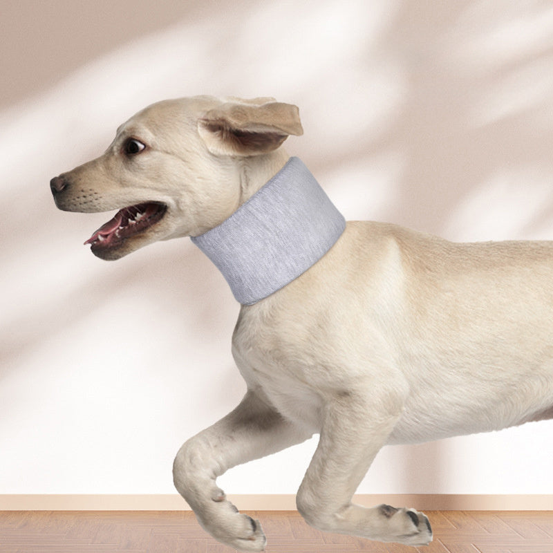 Cat Cone Collar Neck Brace