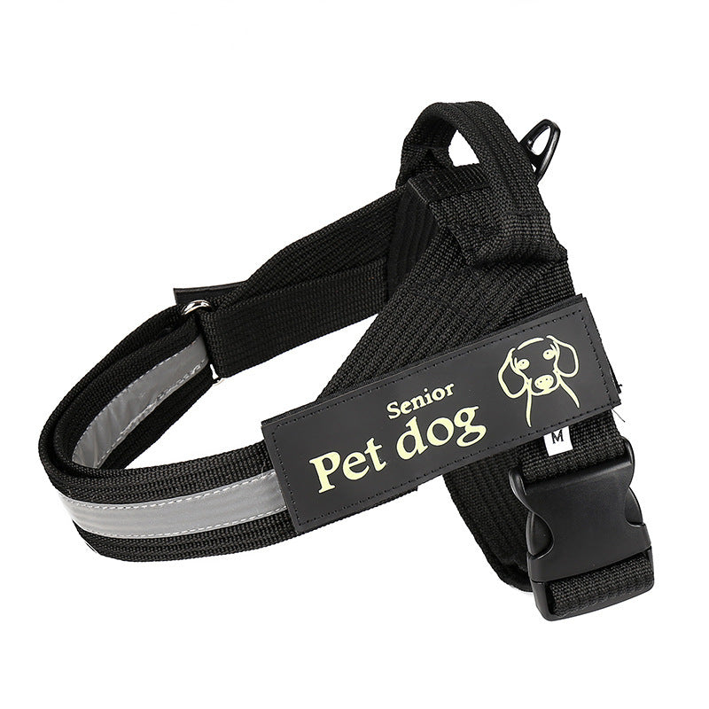 Dog Walking Chain Leash Medium And Large